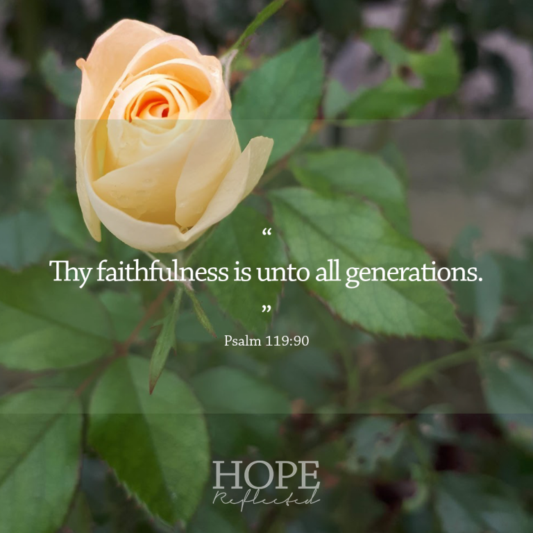 God's Faithfulness - Hope Reflected - Christian Living
