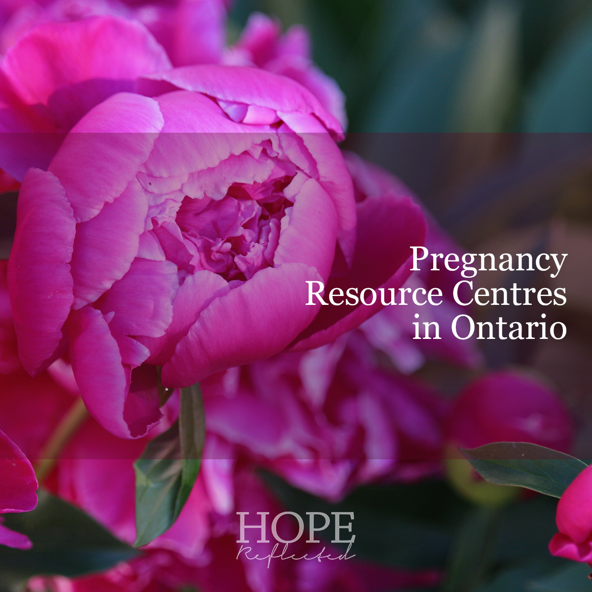 Pregnancy resource centres in Ontario - Hope Reflected