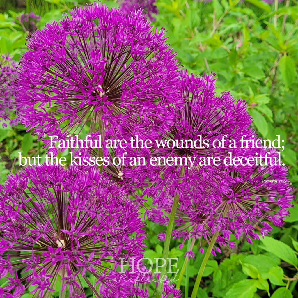"Faithful are the wounds of a friend; but the kisses of an enemy are deceitful." (Proverbs 27:6) | What are the qualities of a true friend? Learn more on hopereflected.com
